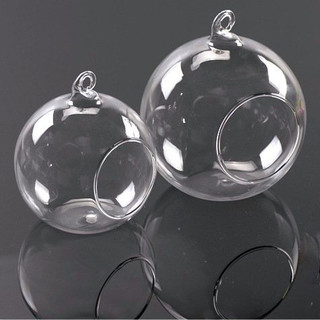 Bình thủy tinh tròn 8cm trồng tiểu cảnh, cây thủy sinh, bình thủy tinh nuôi cá đẹp, làm Terrarium
