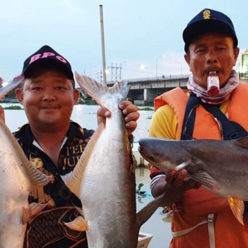 Mồi Câu Cá Tra,Hương Câu Cá TEE JUBU Cực Nhạy.