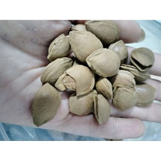 HẠT MƠ Mỹ rang