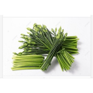 Hạt giống ngồng tỏi tây 300H