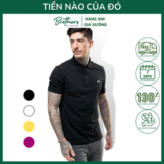 |Sale mạnh| Áo polo La.coste basic đơn giản, thanh lịch lên dáng bao sang