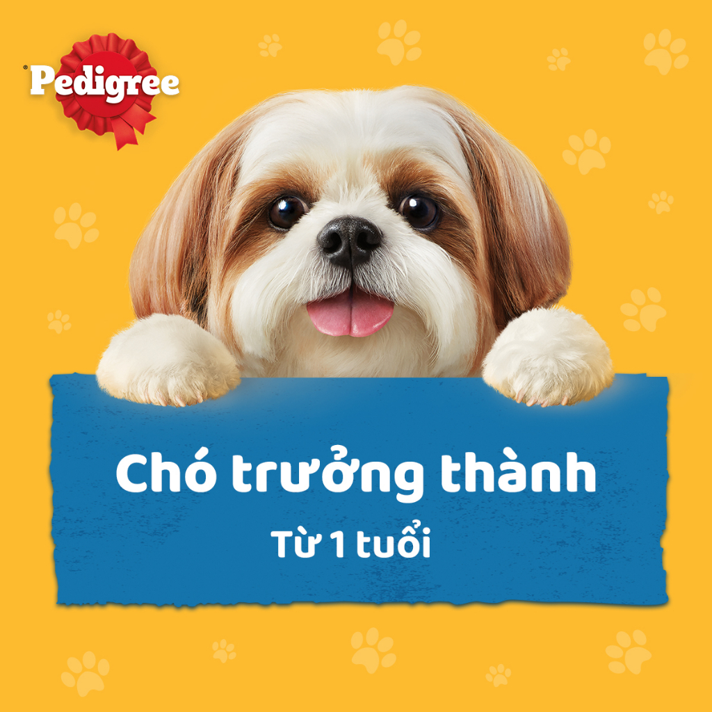 [MUA 6 TẶNG 1] Thức ăn cho chó lớn dạng sốt Pedigree 130g