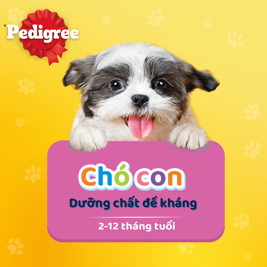 Bộ 6 thức ăn chó con Pedigree vị gà nấu sốt 130g