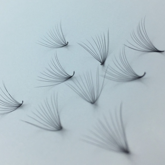 Mi Fan 10D dày 0.07- cong C-CC-D - 1000 fan - Dụng cụ nối mi - HUY HOÀNG MI