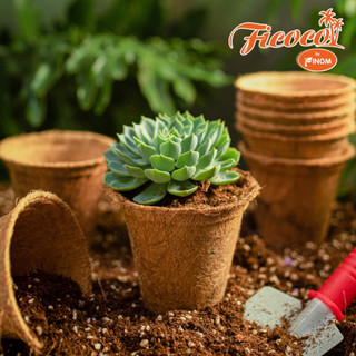 CHẬU XƠ DỪA ECO POT