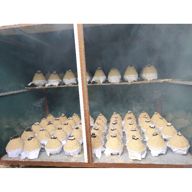 DẦU CÁM GẠO NGUYÊN CHẤT 10ML