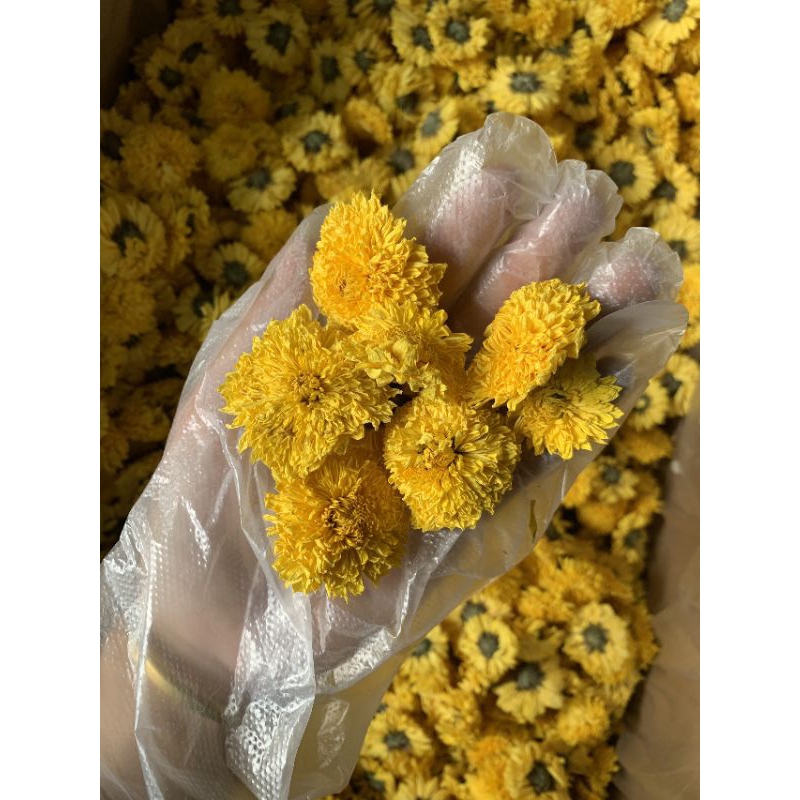 Hoa cúc vàng - 100gr
