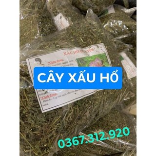 Cây xấu hổ hoa tím khô chuẩn