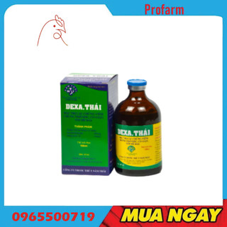 Năm thái dexa các chứng viem, cắt con tho dốc, co giat, noi me đay, phát ban đo
