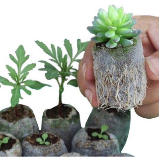 100 Túi vải không dệt tự hủy, ươm trồng tiện lợi size 8x10cm