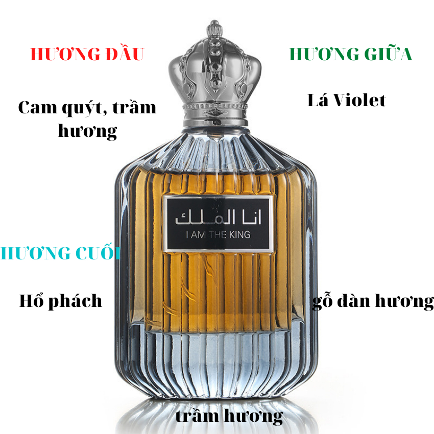 Nước Hoa Nam 100ml thơm lâu nam tính dầu thơm nam tinh dầu nước hoa đặc biệt bad boy nổi loạn  A206