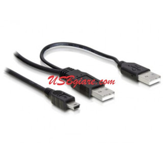  CÁP CHỮ Y 2 ĐẦU USB 1 ĐẦU USB MINI CHO EXTERNAL HDD 
