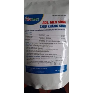ADE MEN SỐNG CHỊU KS