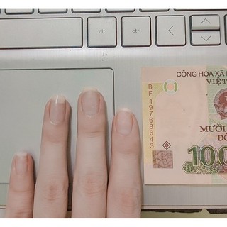 Nailbox thiết kế giá hạt dẻ
