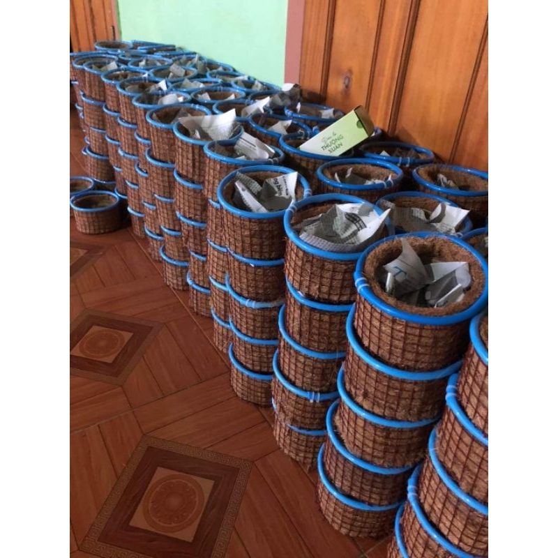 Tổ chim kích đẻ