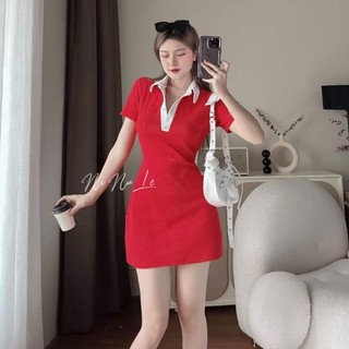 ĐẦM POLO CỔ TRỤ BIGSIZE
