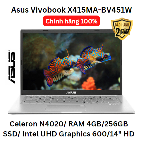 Asus Vivobook X415MA-BV451W/ Celeron N4020/ RAM 4GB/256GB SSD/ Intel UHD Graphics 600/14" HD/ Mới chính hãng