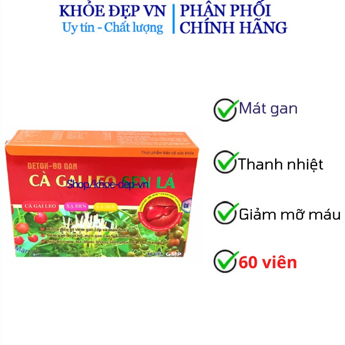 Viên uống bổ gan Cà Gai Leo Sen lá giải độc gan, giảm viêm gan cấp và mãn tính, thanh nhiệt - Hộp vỉ 60 viên
