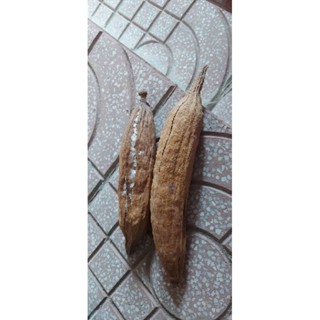 TRÁI BÔNG GÒN TỰ NHIÊN CÒN NGUYÊN TRÁI (CHƯA BÓC TÁCH BÔNG)