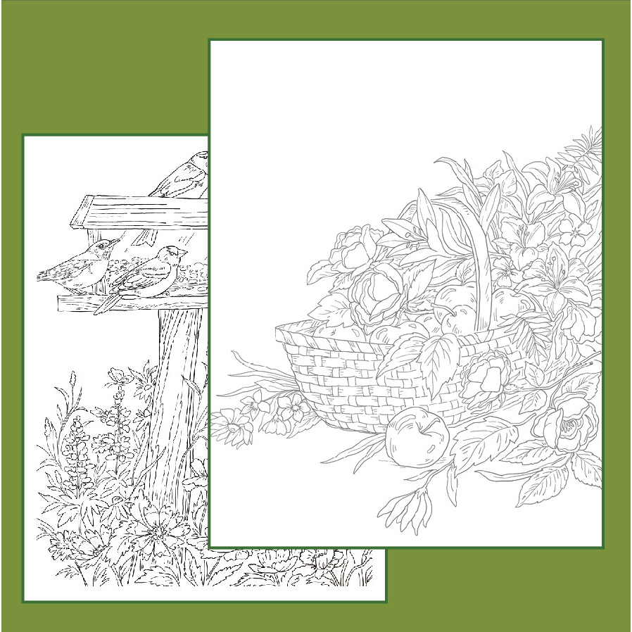 Bộ tranh tô màu nước "wildflowers,birds and garden" 10 tranh giấy dầy đẹp