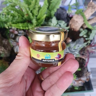 Artemia ấp sẵn uht thanh trùng - nguyên seal - tặng ống hút artemia - thức ăn cá bột - thức ăn cá betta bột - mr fish +