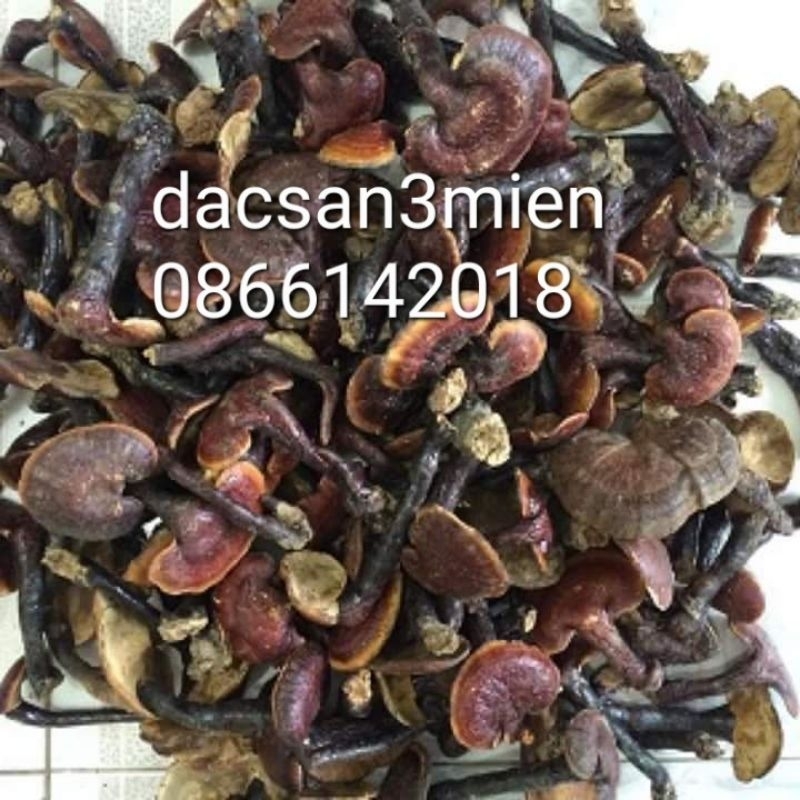 Nấm lim xanh 1 kg