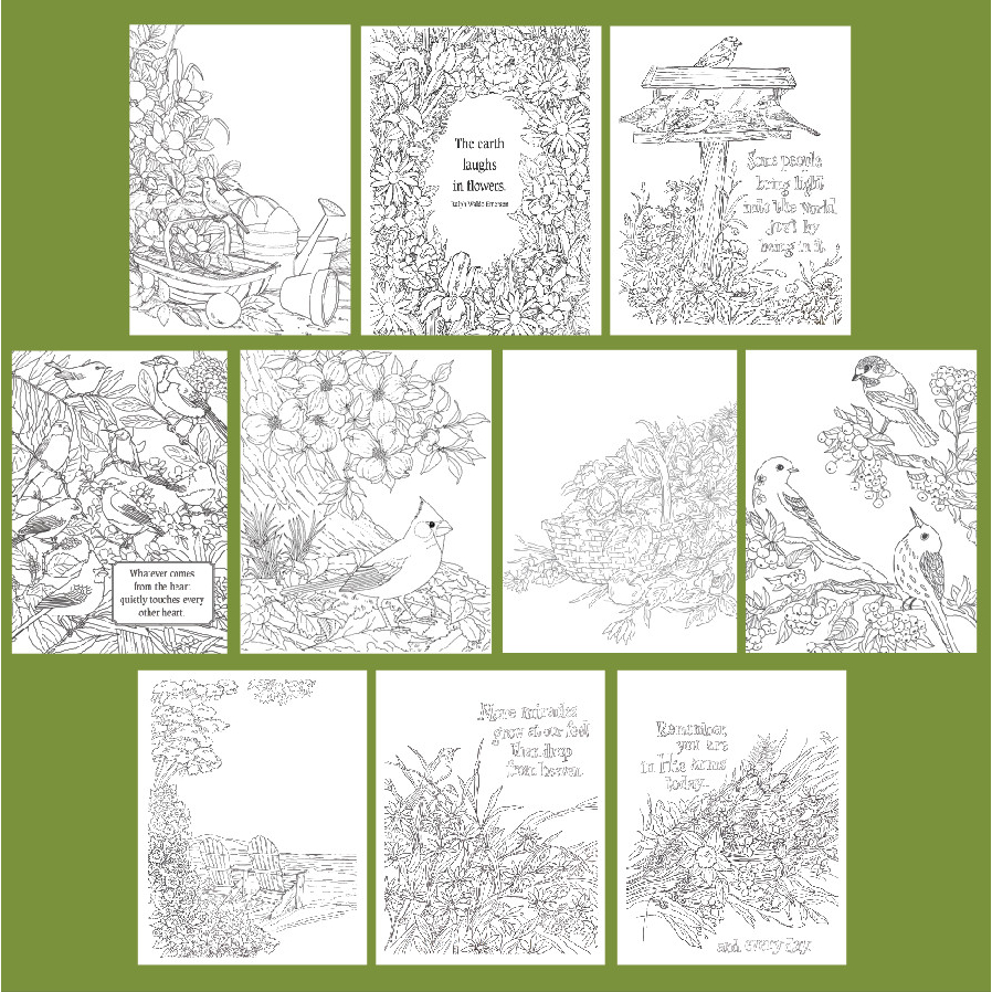 Bộ tranh tô màu nước "wildflowers,birds and garden" 10 tranh giấy dầy đẹp