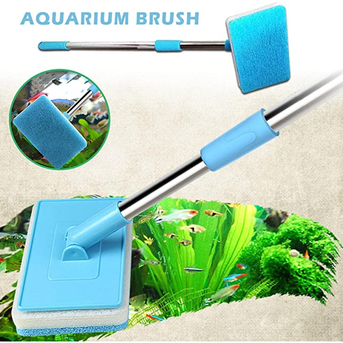 CÂY LAU BỂ CÁN KÉO DÀI