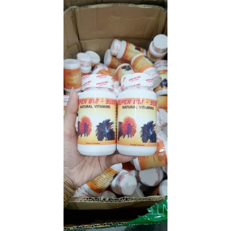 B12-9500  tăng bo, hừng gà