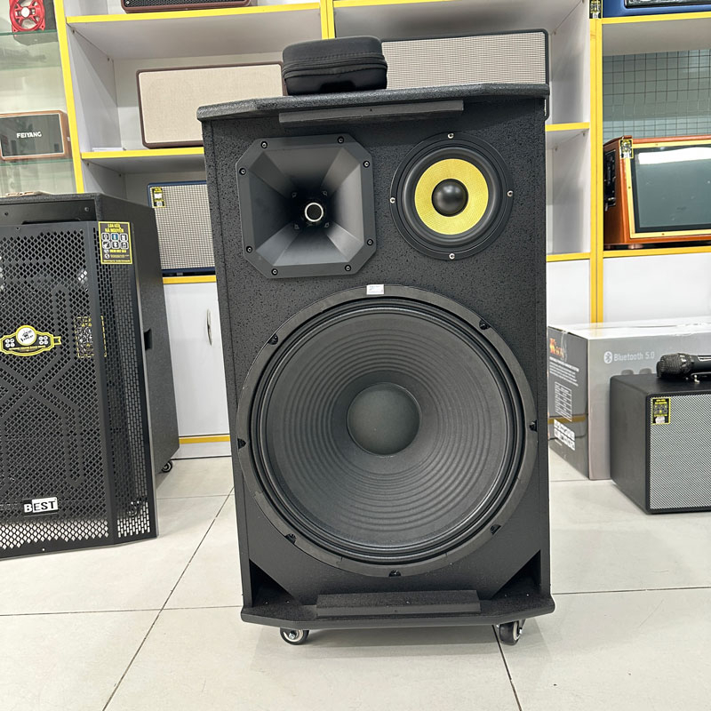 Loa Kéo Karaoke Di Động Best 6930