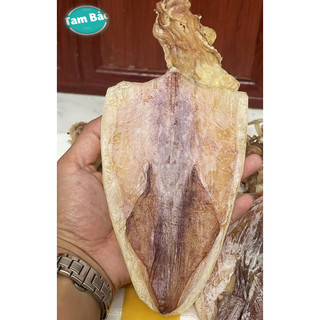 KHÔ MỰC Long Hải - Vũng Tàu túi 250Gr 4~5 con Size 16~18con/kg khô dày, ngọt thịt, thơm dai 🦑🦑 ***NEW