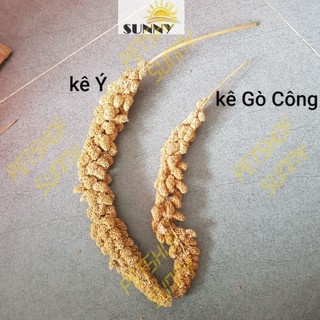 Kê chùm mượt lông cho hamster, sóc