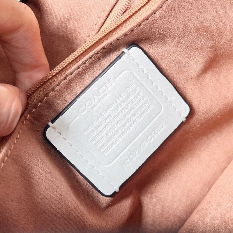 Túi COACH BRYNN FLAP