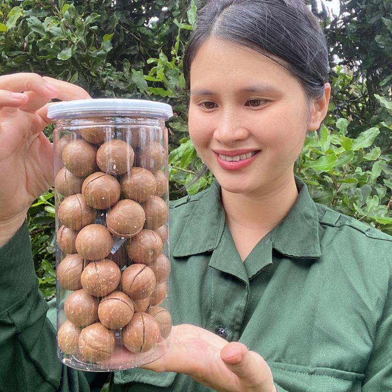 Hạt Macca nứt vỏ, Hạt Macca Đak Lak thơm ngon, bổ dưỡng