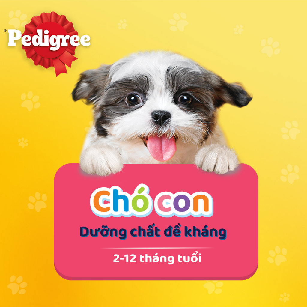 Thức Ăn Cho Chó Con Dạng Sốt PEDIGREE NutriDefence - Vị Bò, Trứng và Rau (80g, 12 Gói)