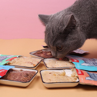 Pate Wanpy cho mèo gói 80gr - Pate cho mèo mọi lứa tuổi