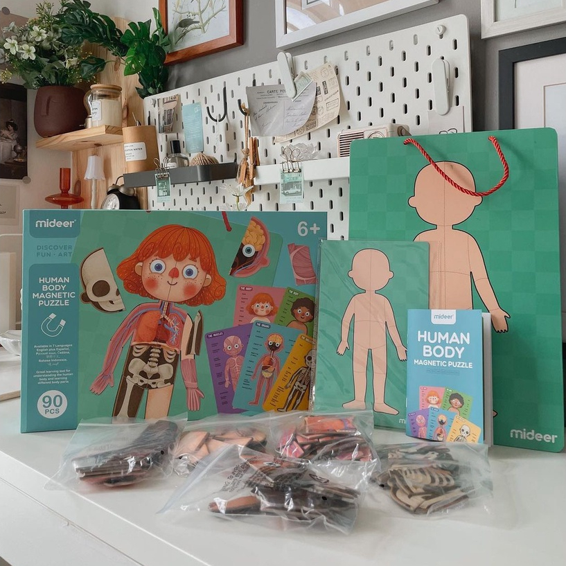 Đồ Chơi Xếp Hình Nam Châm Cơ Thể Mideer Human Body Magnetic Puzzle đồ chơi hướng nghiệp cho bé