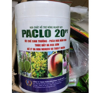 Xử lý ra bông, ra hoa nghịch mùa cho xoài, sầu riêng, cây ăn trái có paclo 20pt hủ 1kg