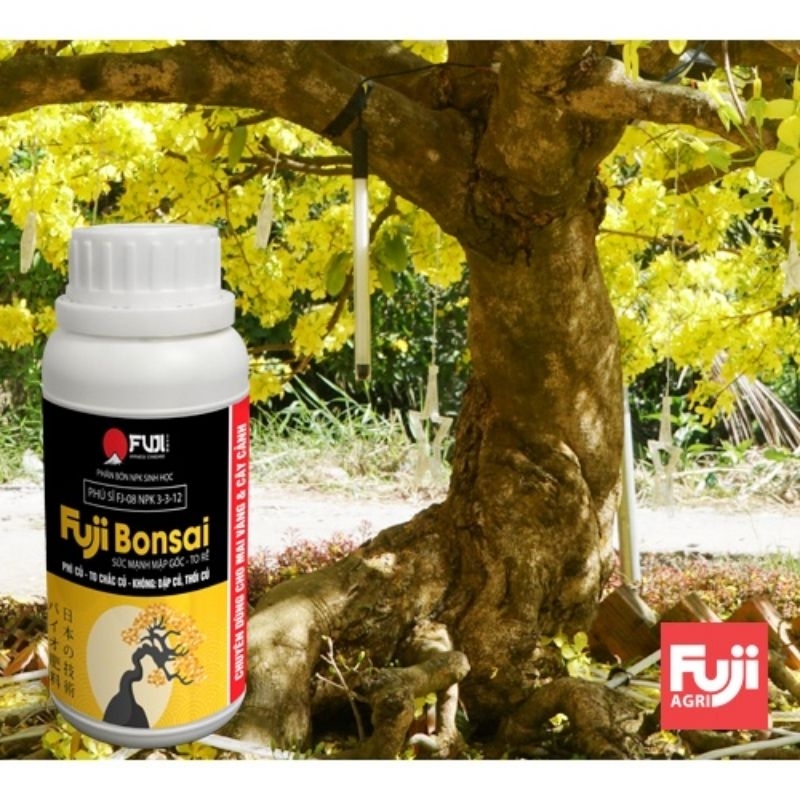 Phân bón to củ mai vàng FUJI BONSAI - TO GỐC - NỞ CỦ - LỚN RỄ 250ml