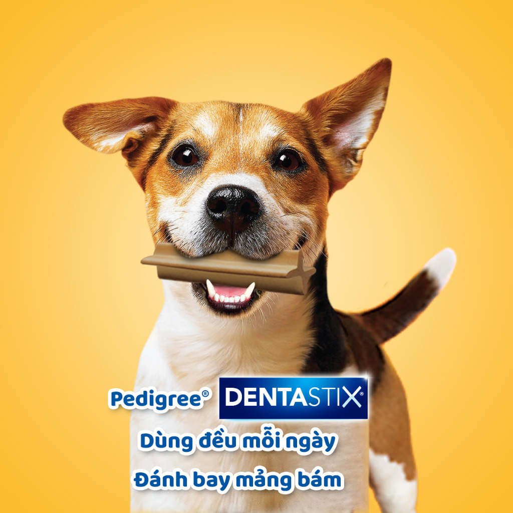 Bánh xương cho chó Pedigree Dentastix 98g