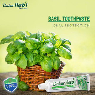 Kem Đánh Răng thảo dược Dabur Herbal - Húng Quế 155g