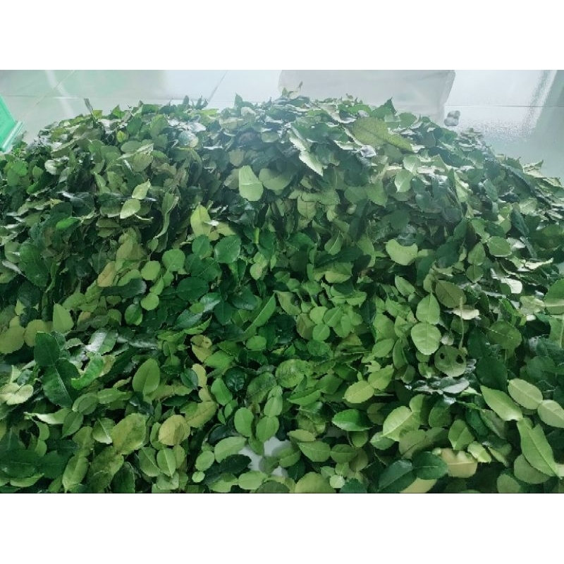 100g lá chanh thái, lá chúc giá 20k