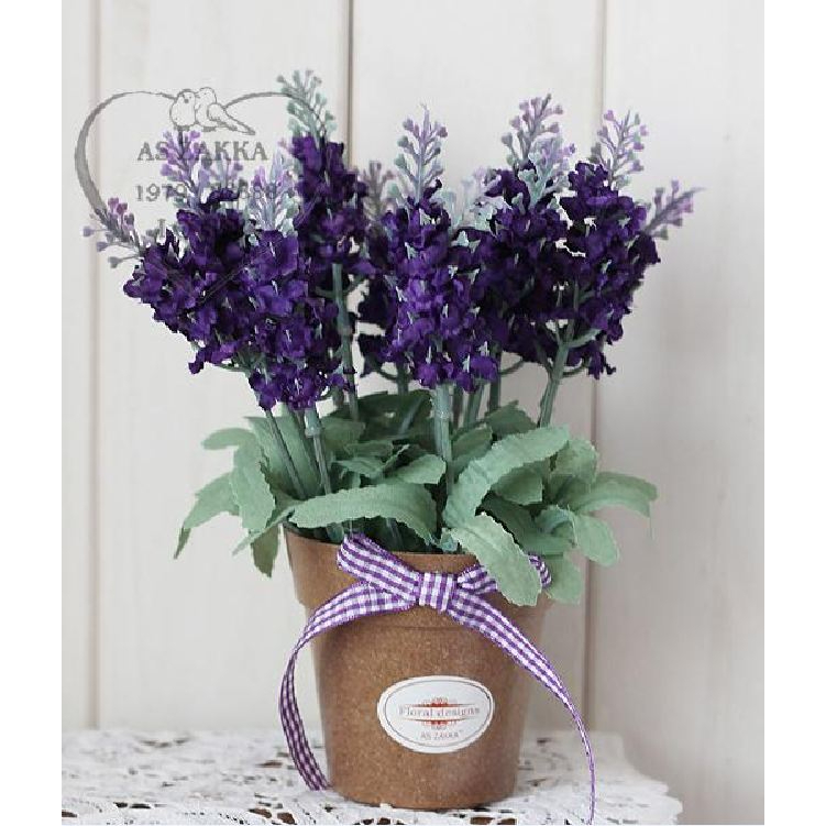 Hạt giống hoa oải hương  f1- gói 100 hạt-tặng kèm gói kích mầm