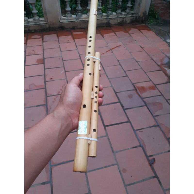 Sáo Mèo Kép Việt Tone Đô