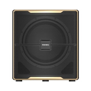 LOA SUB ĐIỆN PARAMAX Z-SUB