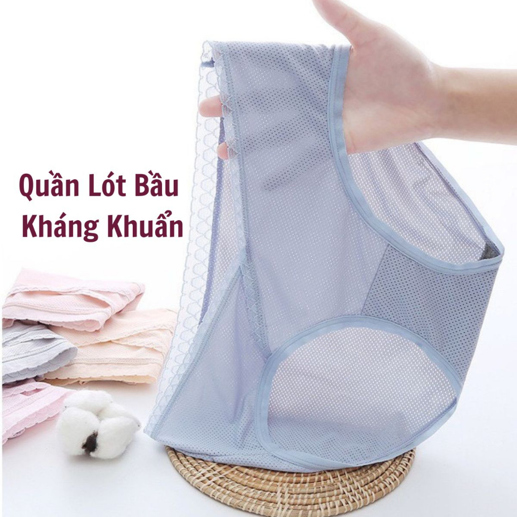 Quần Lót Bầu Larosa Chất Cotton Kháng Khuẩn Thông Hơi Cạp Chéo QAV88