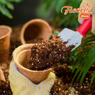 CHẬU XƠ DỪA ECO POT