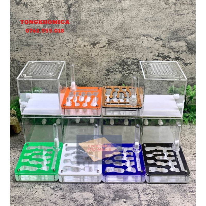 Formicarium / Tổ nuôi kiến / hộp nuôi kiến nằm 10cm mica cao cấp