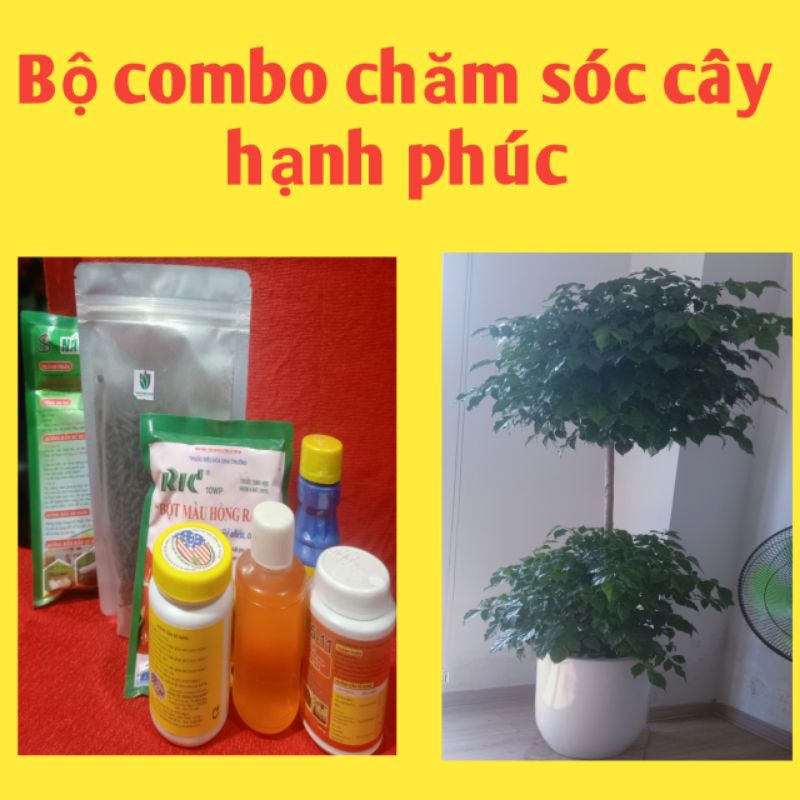 Bộ combo chăm sóc cây hạnh phúc