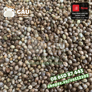 Hạt láng cho hamster